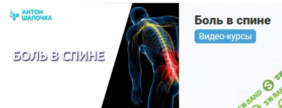 [Антон Шапочка] Боль в спине. Видео курс (2021)