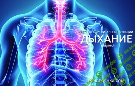 [Антон Шапочка] Квест по телу: витальные функции. Дыхание (2020)