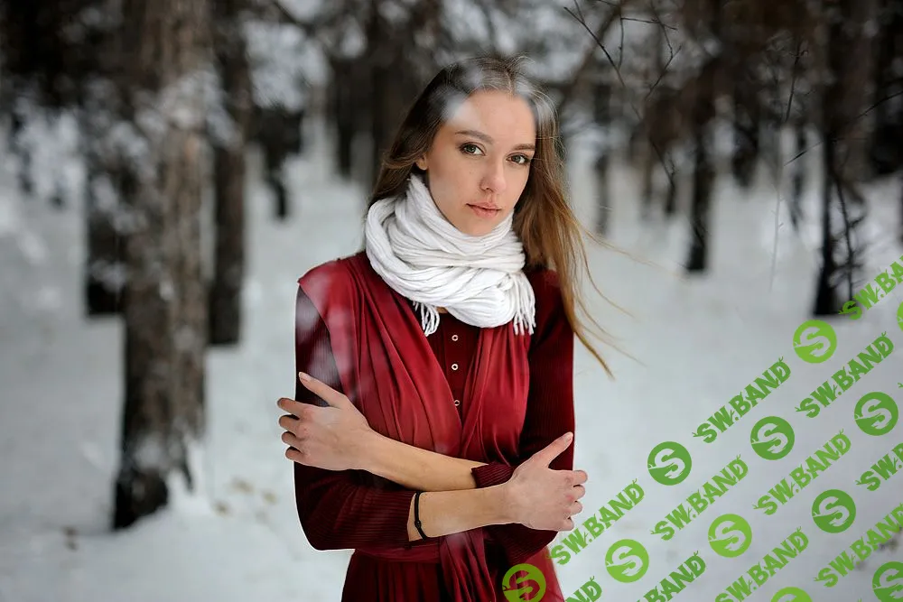 [Антон Уницын] Зимний свет. Получаем максимальный результат в сложных условиях съемки (Антон Уницын)