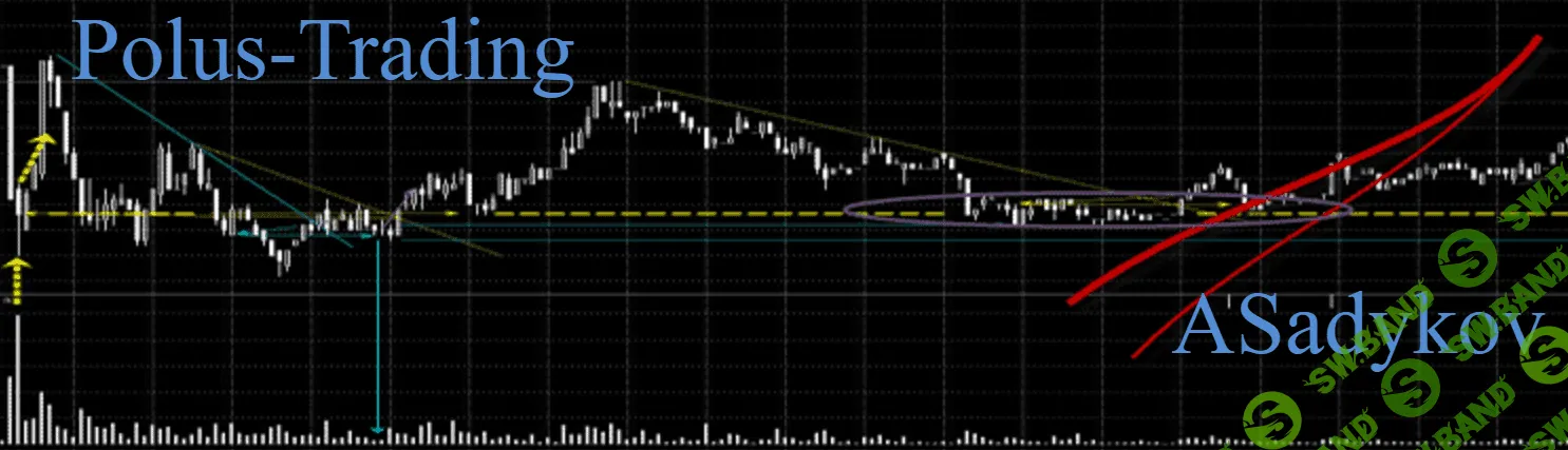 [Анвар Садыков] Первый курс Polus Trading (2014)