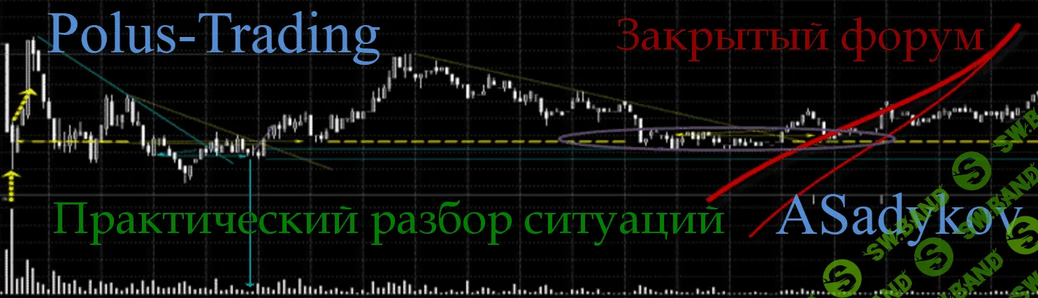 [Анвар Садыков] Видео закрытого форума Polus Trading (2015)