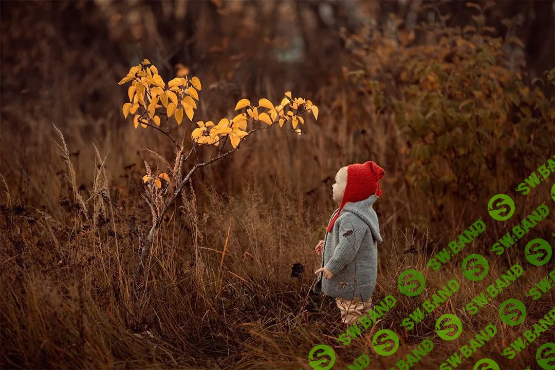 [Arma Grey] ШОКОЛАД И КОФЕ 2019