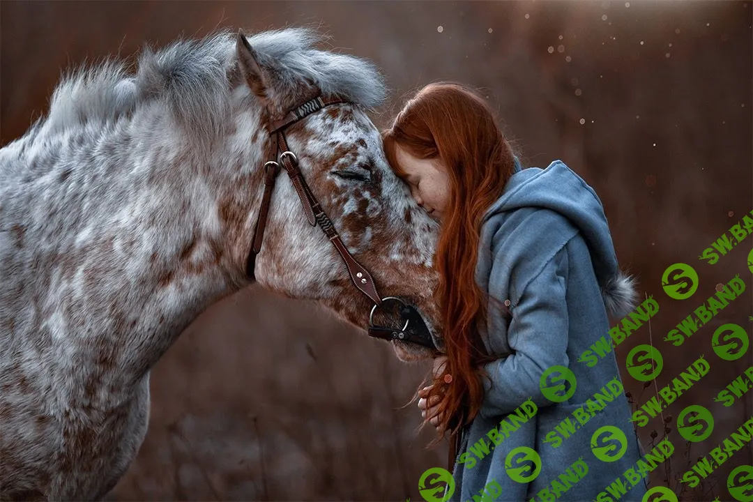 [Arma Grey] ШОКОЛАД И КОФЕ 2019