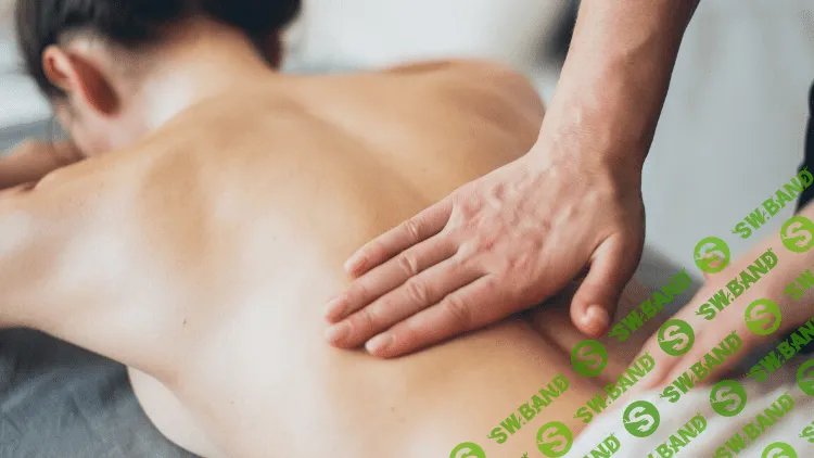 [Артем Цвилюк] Основы массажа с 0. Массаж для начинающих