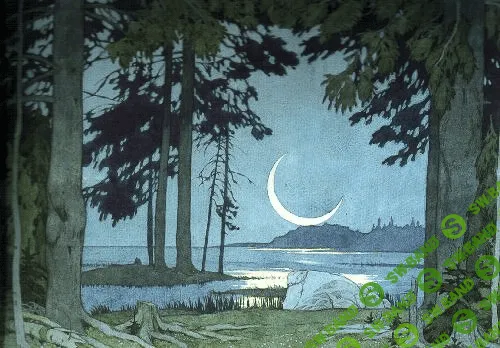 [Artlife] Белая уточка