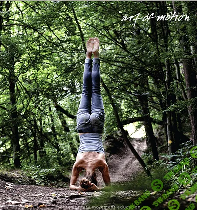 [Artofmotion] Лидия Лаврукович, Анна Селиверстова Основы слингов в движении (2022)