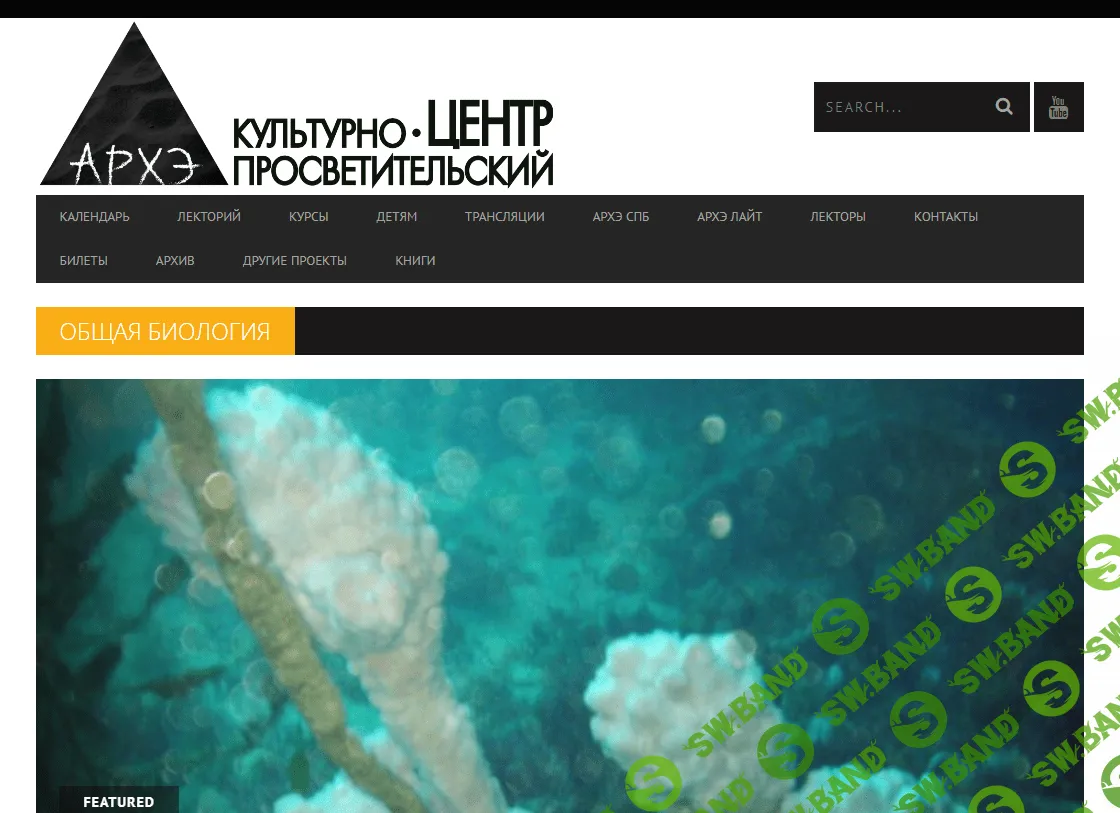 [Архэ] Анатомия. Часть 3 + Основы микробиологии (2023)