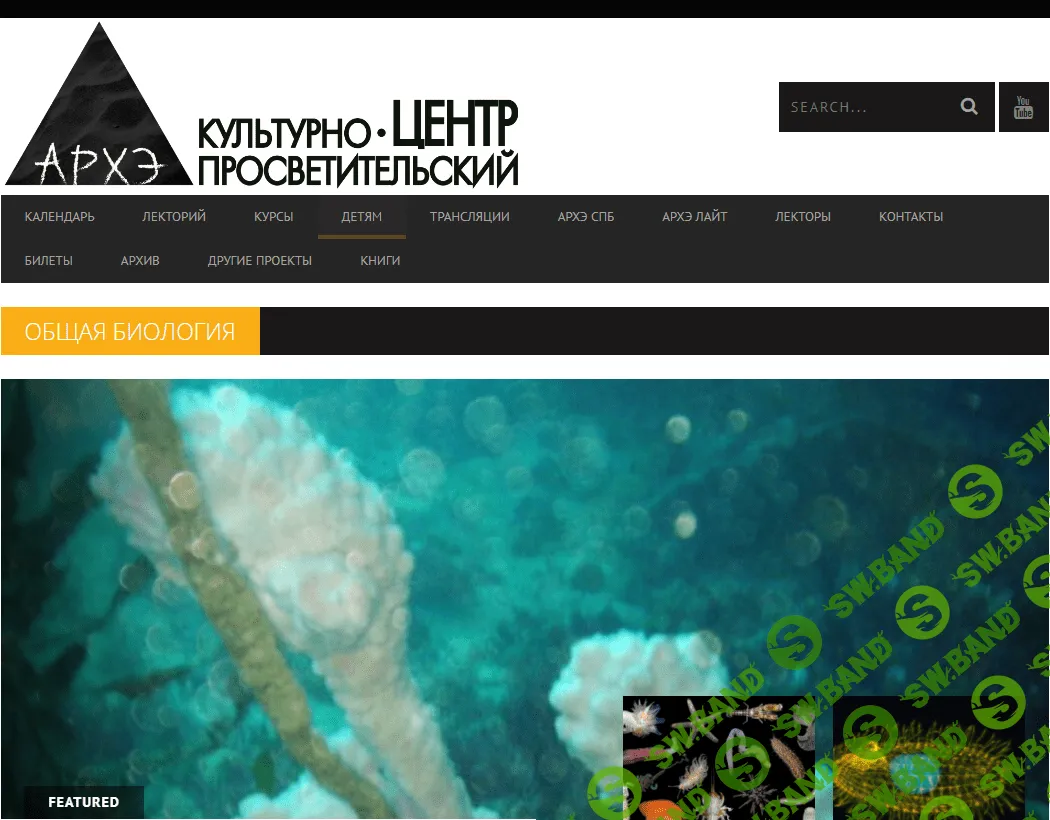 [Архэ] Анатомия человека. Часть 2 (2023)