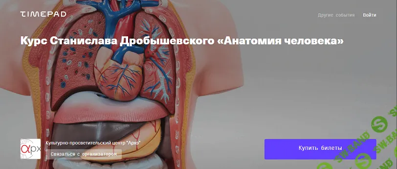 [Архэ] Анатомия человека. Лекция 9. Эстезиология - органы чувств (2024)