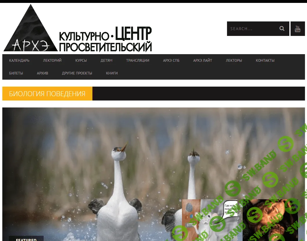 [Архэ] Биология поведения. Лекция 1. Бихевиоризм (2024)