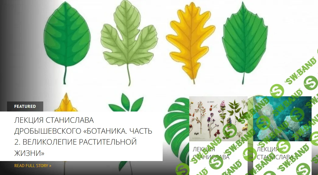 [Архэ] Ботаника. Часть 2. Великолепие растительной жизни (2023)