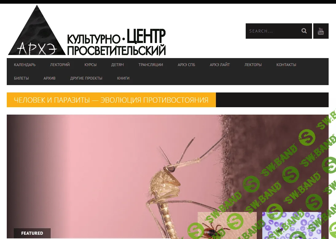 [Архэ] Человек и паразиты — эволюция противостояния. Малярия, что это такое (2023)