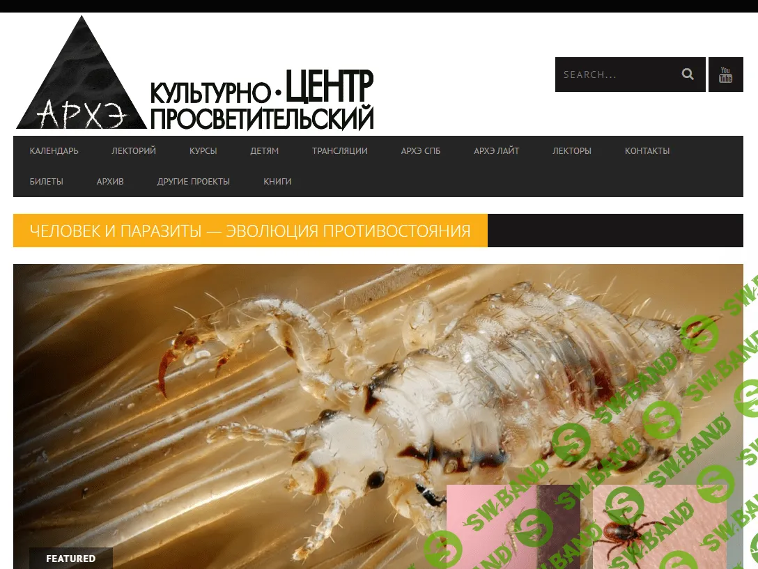 [Архэ] Человек и паразиты — эволюция противостояния. Происхождение малярии (2023)