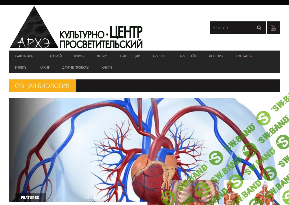 [Архэ] Цитокинез и основы эмбриологии (2023)
