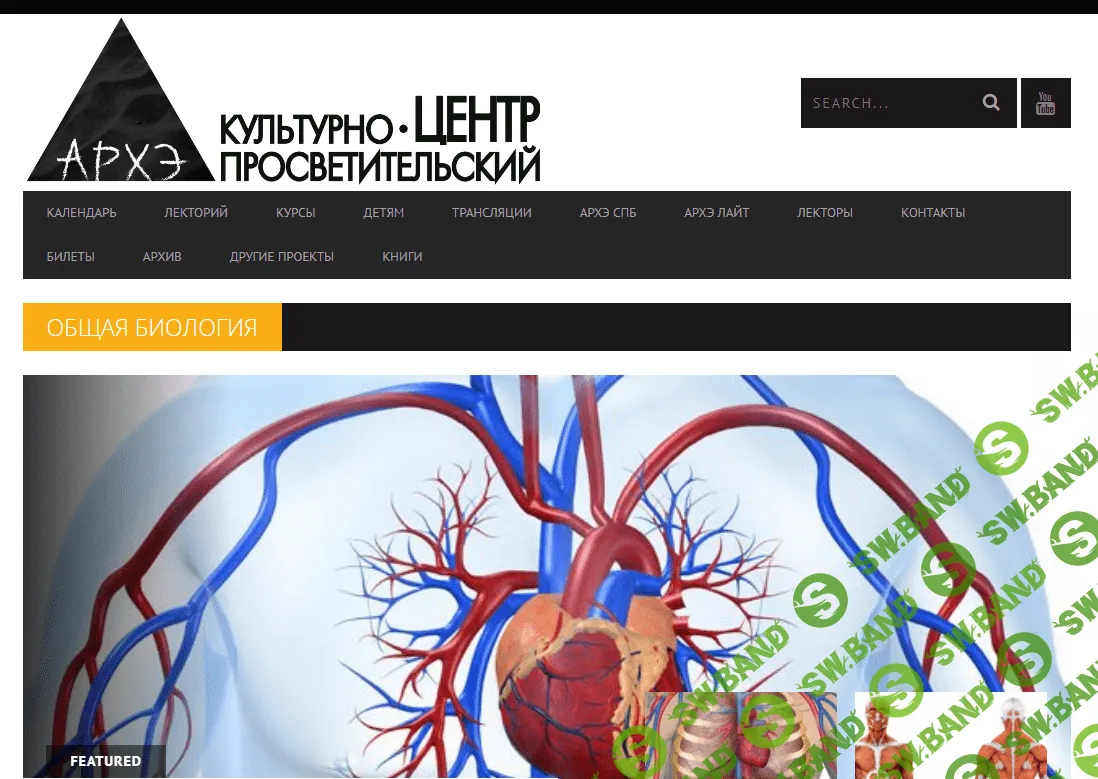 [Архэ] Цитология (2023)