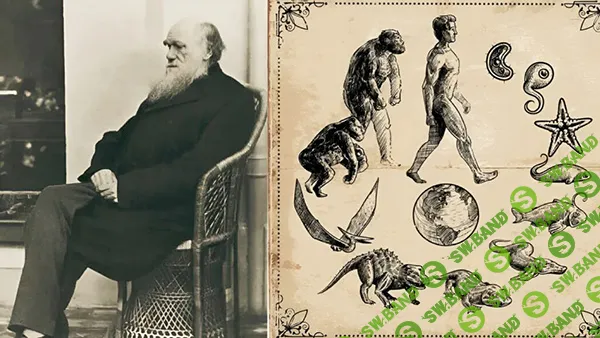 [Архэ, Максим Винарский] История Чарлза Дарвина и его идей. Лекция 5. Этюд в коричневых тонах (2025)