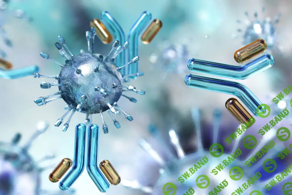 [Архэ] На переднем крае иммунологии. Антивирусный иммунный ответ и вакцины (2024)