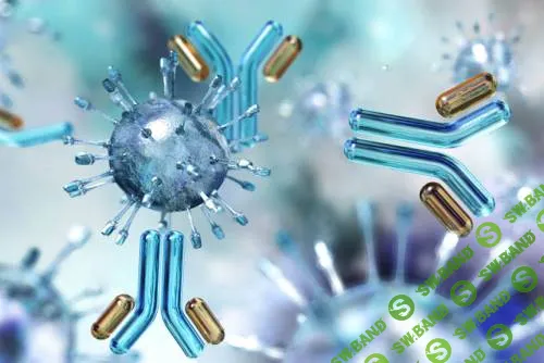 [Архэ] На переднем крае иммунологии. Микробиом и иммунитет у детей и взрослых (2024)