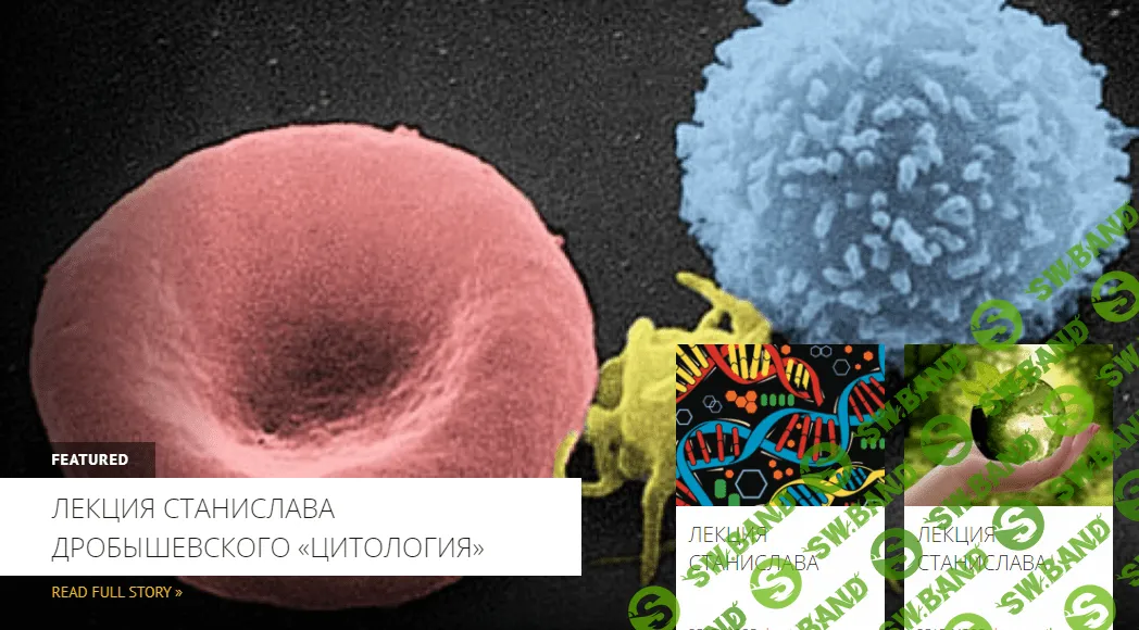 [Архэ] Основы генетики (2023)