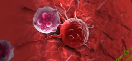 [Архэ] Рак и иммунитет. Современные методы иммунотерапии. Больные клетки основы биологии рака (2023)