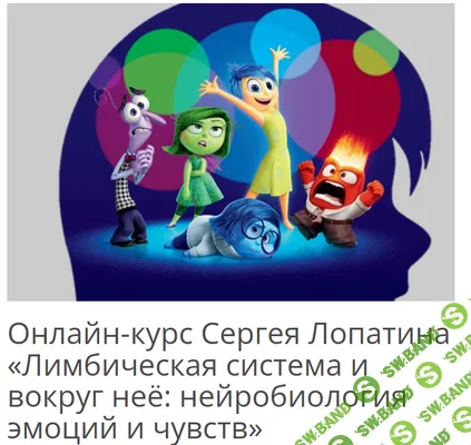 [Архэ, Сергей Лопатин] Лимбическая система и вокруг неё: нейробиология эмоций и чувств. Базальные ядра: нейробиология привычек. Лекция 3 (2025)