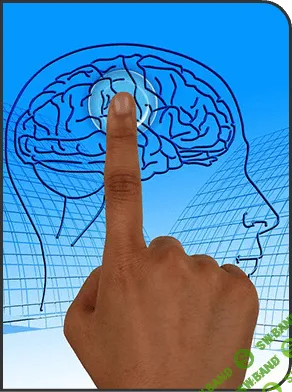 [AST Production] Обнуление