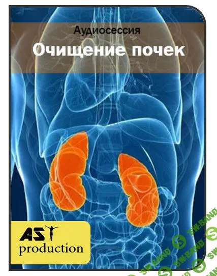 [AST Production] Очищение почек