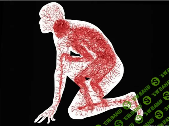 AST production - Скейпинг. Заболевания кровеносных сосудов (2017).