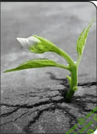 [AST production] Внутренний стержень и Здоровая самооценка