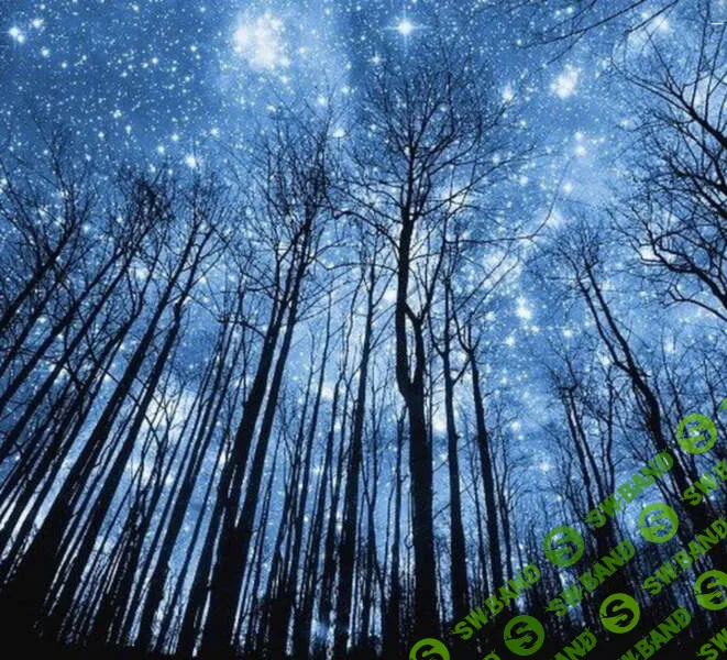 Астрология налегке (январь-февраль 2026) [Тариф Очарованный небом] [Анна Староминская, Константин Дараган]