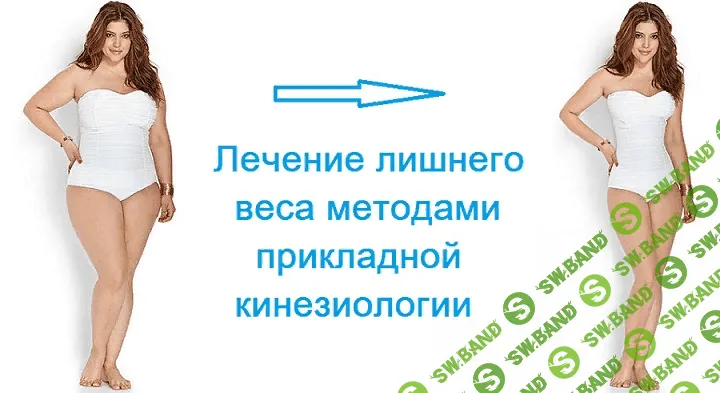 [Атрощенко Игорь] Лечение лишнего веса методами прикладной кинезиологии (2019)