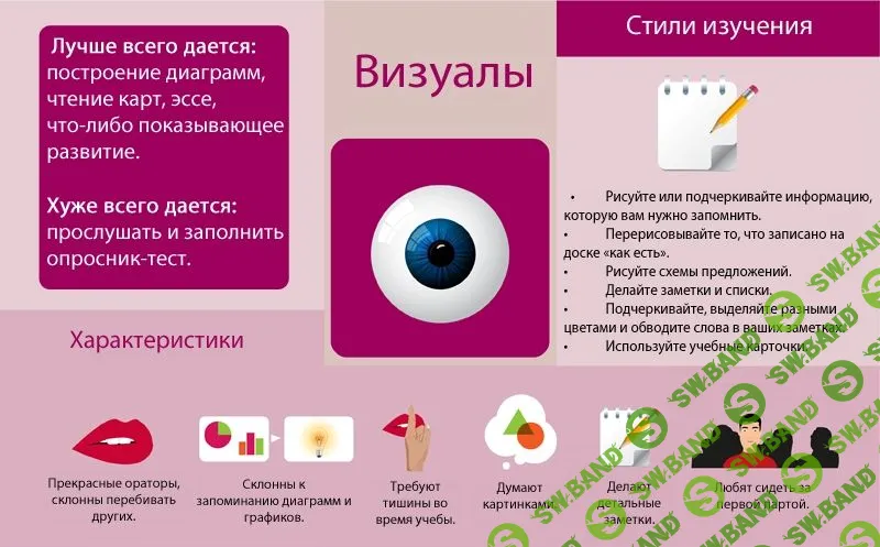 Аудиал, визуал или кинестетик: как достичь успеха в учебе