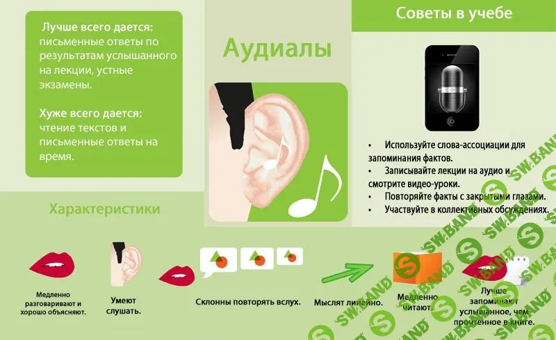 Аудиал, визуал или кинестетик: как достичь успеха в учебе