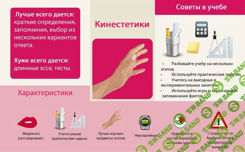 Аудиал, визуал или кинестетик: как достичь успеха в учебе