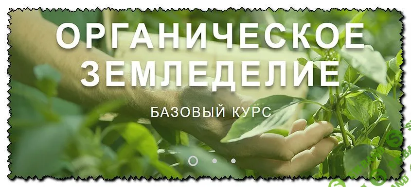 Базовый Курс Органического Земледелия