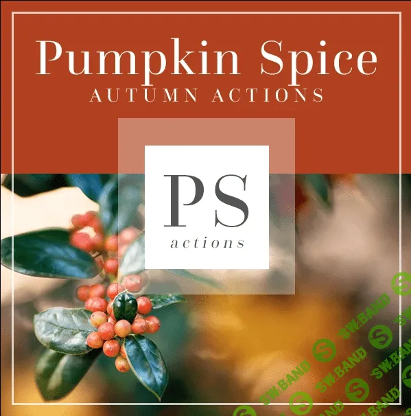 [Bellevue Avenue] Bellevue Avenue Pumpkin Spice Autumn Actions