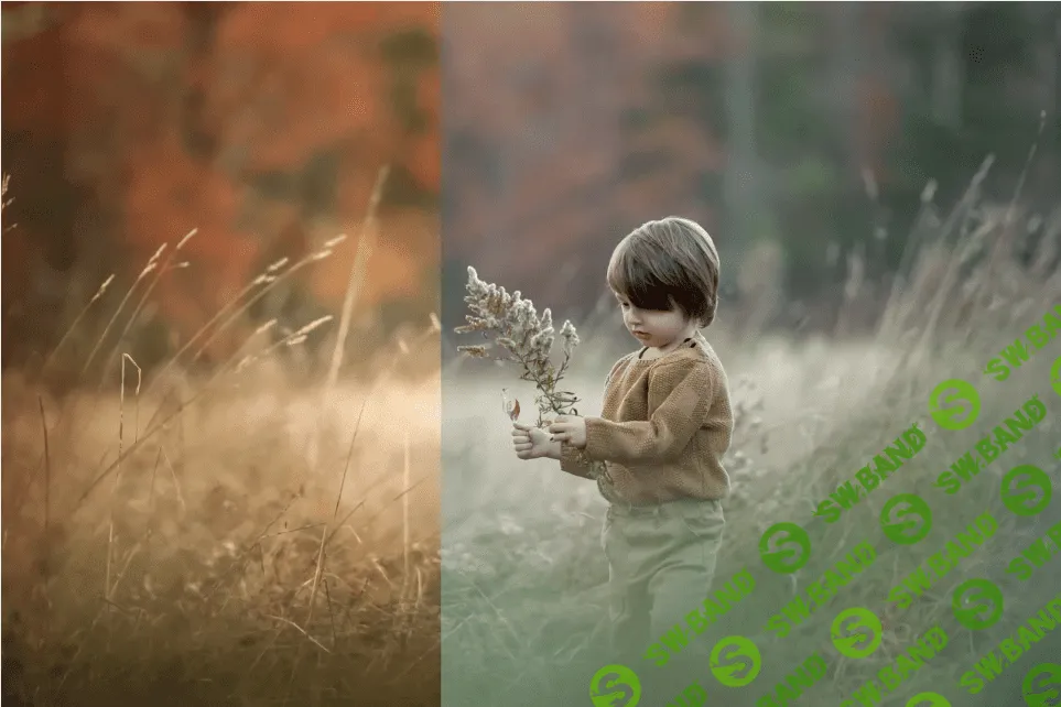 [Bellevue Avenue] Bellevue Avenue Pumpkin Spice Autumn Actions