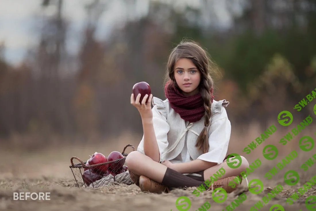 [Bellevue-Avenue] Bellevue-Avenue-The Legacy Photoshop Actions