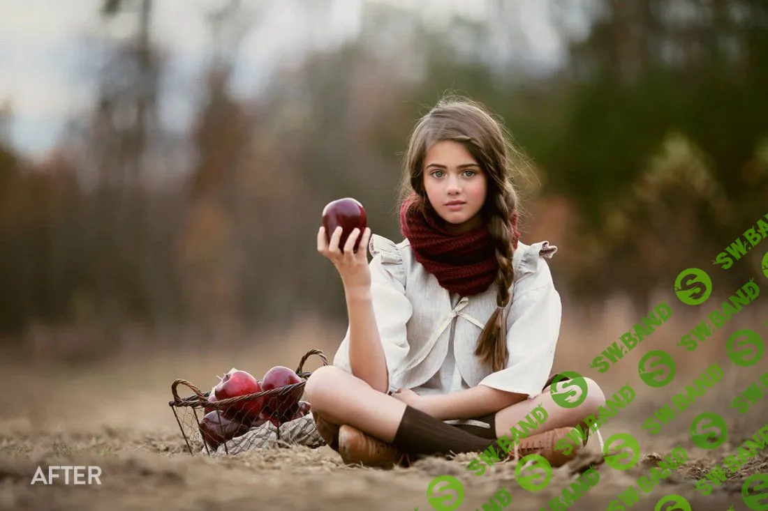 [Bellevue-Avenue] Bellevue-Avenue-The Legacy Photoshop Actions