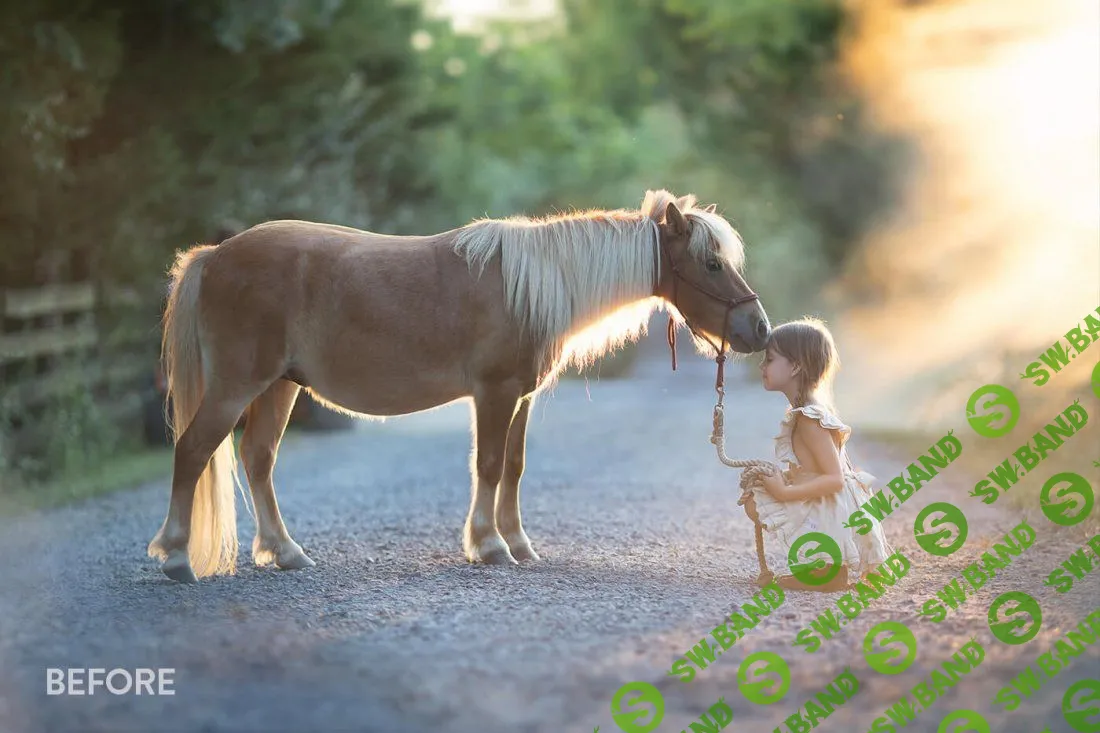 [Bellevue-Avenue] Bellevue-Avenue-The Legacy Photoshop Actions