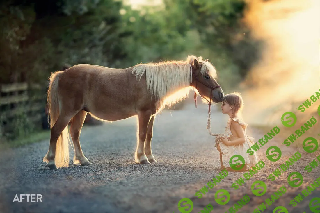 [Bellevue-Avenue] Bellevue-Avenue-The Legacy Photoshop Actions