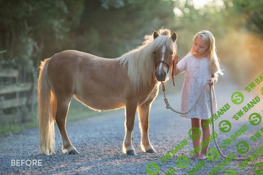 [Bellevue-Avenue] Bellevue-Avenue-The Legacy Photoshop Actions