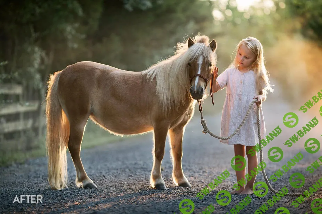 [Bellevue-Avenue] Bellevue-Avenue-The Legacy Photoshop Actions