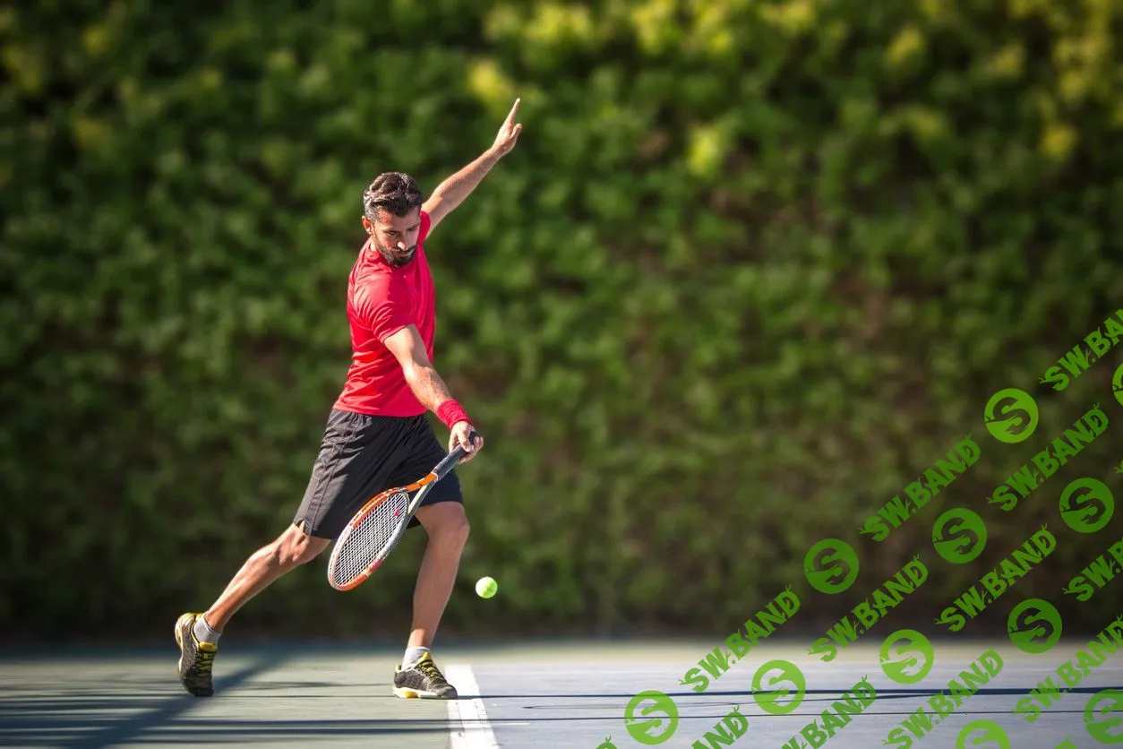 Белорусские инженеры запустили сервис для поиска теннисных кортов. «Нефтегазмаш» инвестировал в них €1 млн