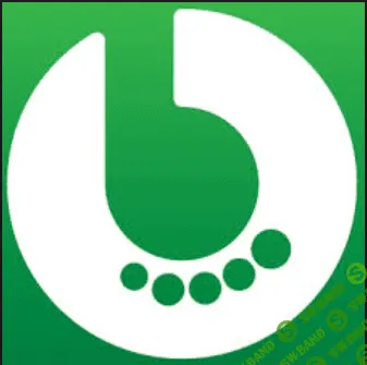 Bet Foot - программа для ставок