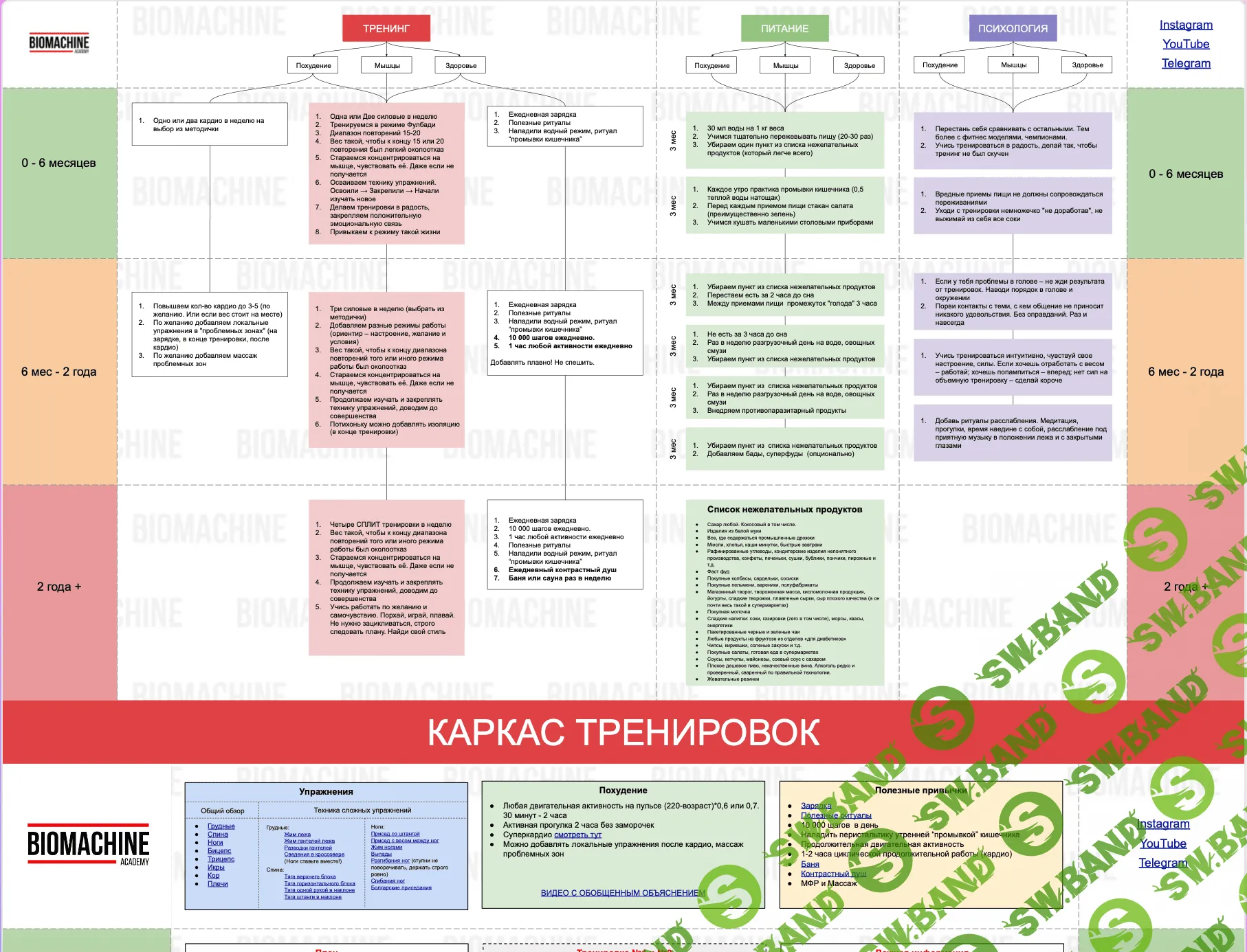 [BIOMACHINE] Методический материал BMCHN LVL 1 (2020)
