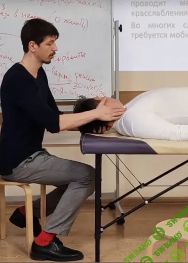 Биохимия мозга. От хронической усталости и депрессии до расстройств памяти и движений [Kinesioprofi] [Александр Березовский]