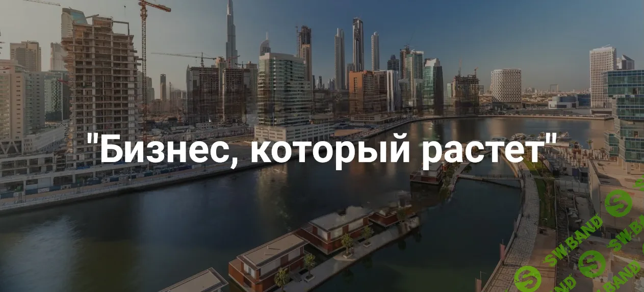 Бизнес, который растёт [Институт Открытого поля] [Елена Веселаго]