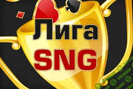 Бьём SNG турниры один на один