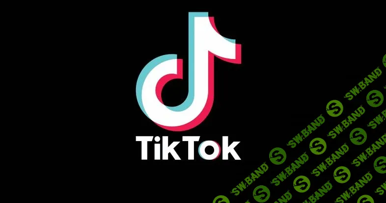 [BlackHatWorld] Руководство по заработку $3000+ в месяц на Тиктоке, не показывая свое лицо (2022)